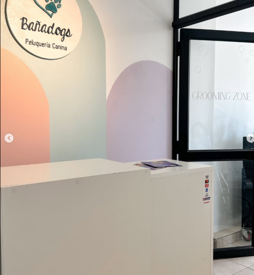 Captura de pantalla 2025-05-29 124259